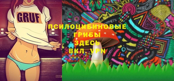 гашиш Горнозаводск