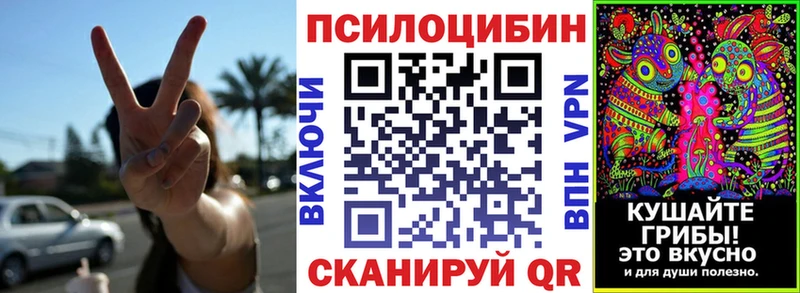 Псилоцибиновые грибы мухоморы  Купить закладки  Красный Холм 